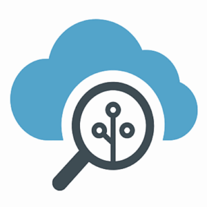 Technology & Vendor Evaluation